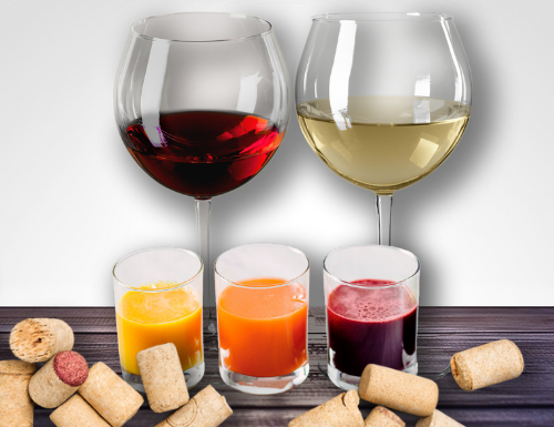 DEGUSTAZIONE SUCCHI E VINI